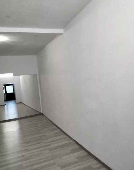 Trocadero - bd. Al. Lapusneanu, spatiu comercial 55 mp.