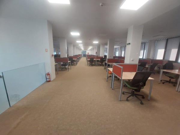 Bd. Mamaia, birouri PREMIUM