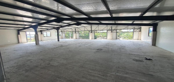 Ovidiu- descarcare A4, hala 1.600 mp.