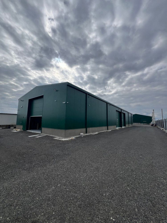 Ovidiu - descarcare A4, hale 120-600 mp., constructie 2025