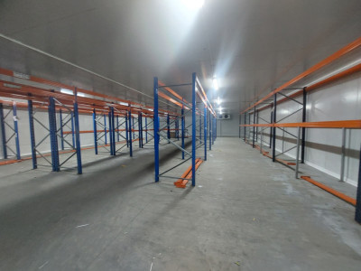  Zona Industriala , hala frigorifica 527 mp.