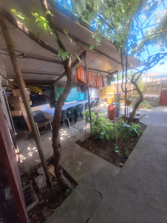 Km. 5 - Viile Noi, casa 4 camere, libera, pe colt