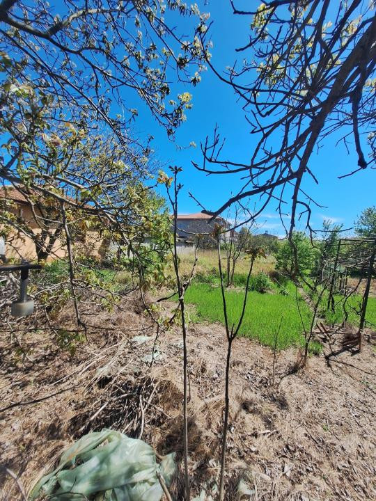 Oportunitate! Techirghiol, teren 923 mp., ideal constructie, investitie!