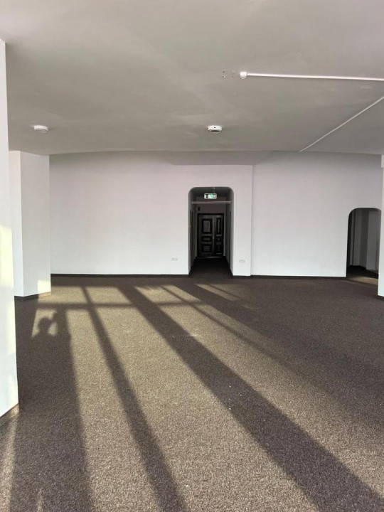 Artera intens circulata, spatiu comercial, 420 mp  .