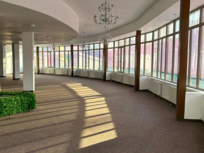 Artera intens circulata, spatiu comercial, 420 mp  .