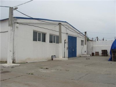Ovidiu (Peco Celsy), hala 435 mp. + spatiu administrativ, teren 1.550 mp.
