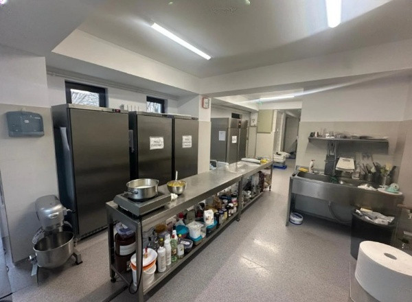 Ultracentral, spatiu ideal HoReCa, echipat, mobilat, terasa functionala