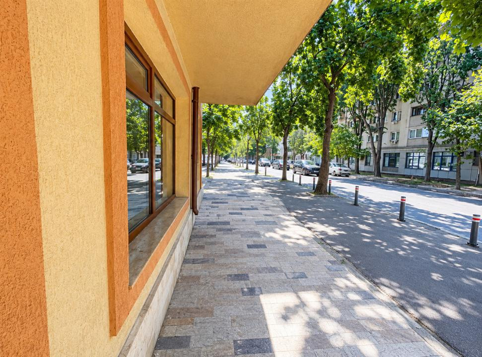 Tomis II, spatiu comercial, 2 cai de acces, utilitati incluse